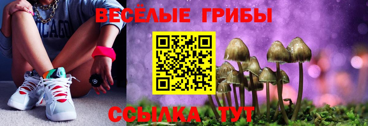 Галлюциногенные грибы MAGIC MUSHROOMS  Вход с VPN  Старая Купавна 
